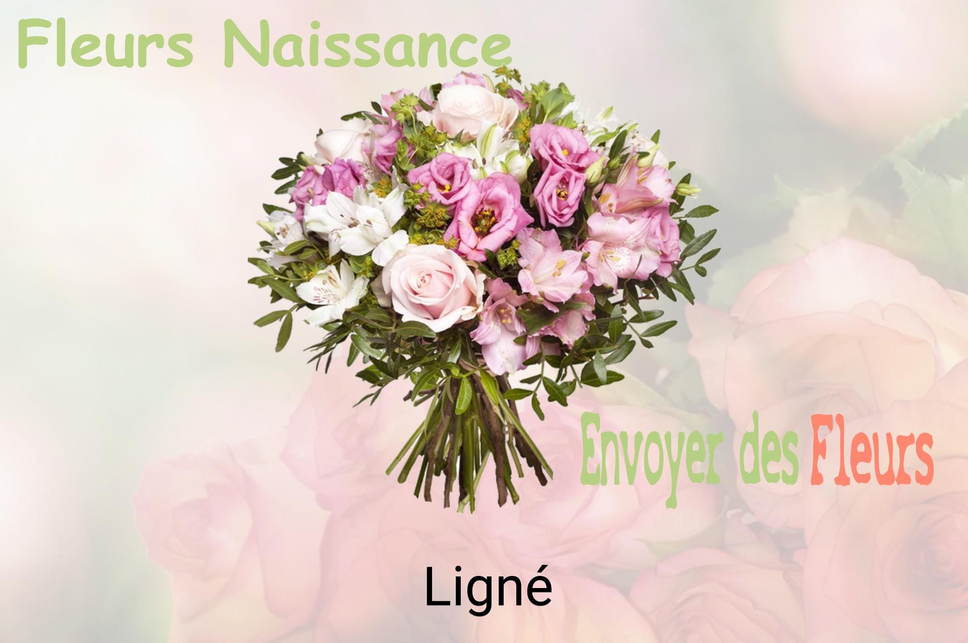 Bouquet de fleurs de naissance livré à Ligné